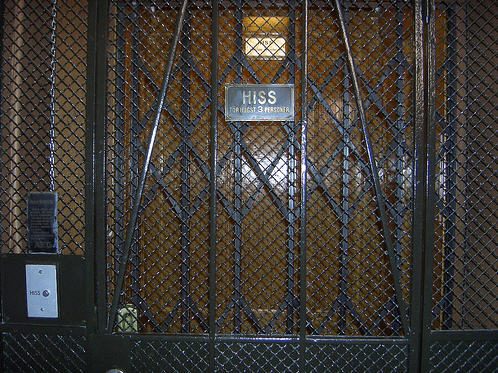  Passenger Elevator Gates 
